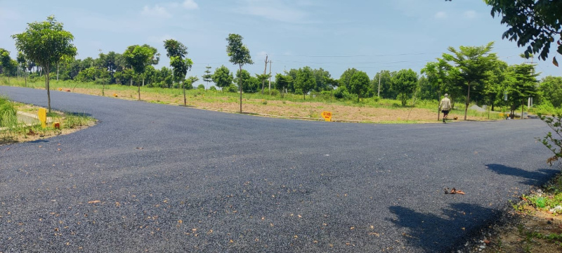  Residential Plot 200 Sq. Yards for Sale in Gunupur Peta, Vizianagaram