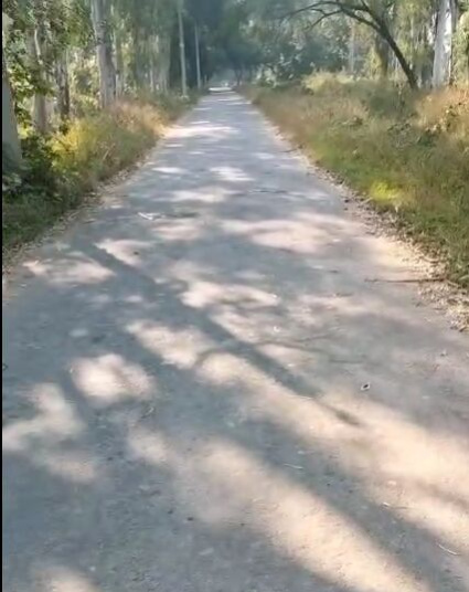  4 Hectares Agricultural/Farm Land for Sale in Nehtaur, Bijnor