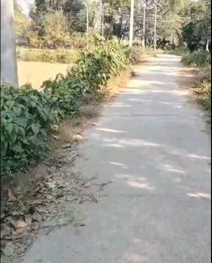  4 Hectares Agricultural/Farm Land for Sale in Nehtaur, Bijnor