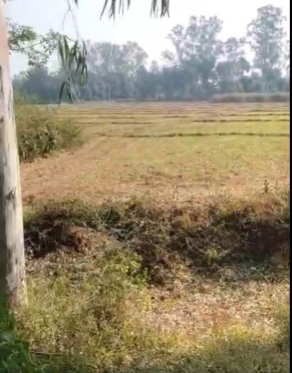  4 Hectares Agricultural/Farm Land for Sale in Nehtaur, Bijnor