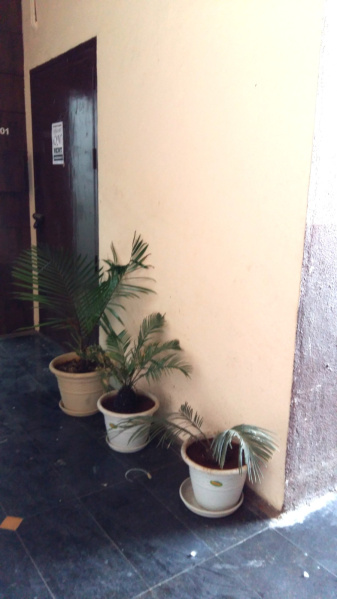  Office Space 450 Sq.ft. for Sale in Parvati, Pune