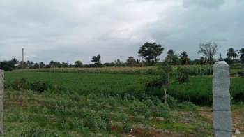  Agricultural Land for Sale in NH 44, ChikBallapur