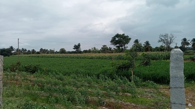  Agricultural Land 2 Ares for Sale in NH 44, ChikBallapur
