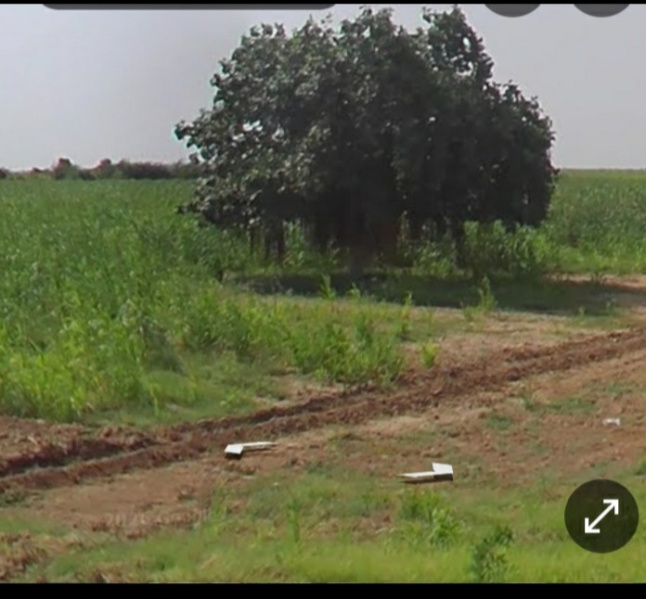  122 Acre Agricultural/Farm Land for Sale in Bhachau, Kutch