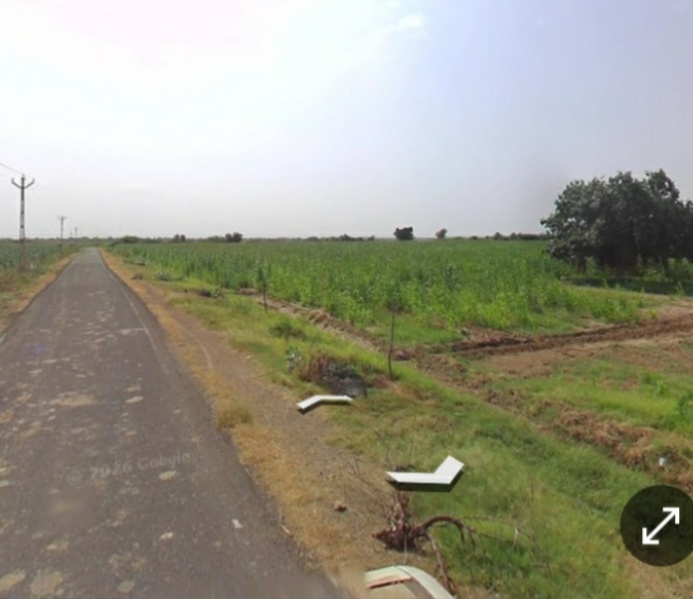  122 Acre Agricultural/Farm Land for Sale in Bhachau, Kutch