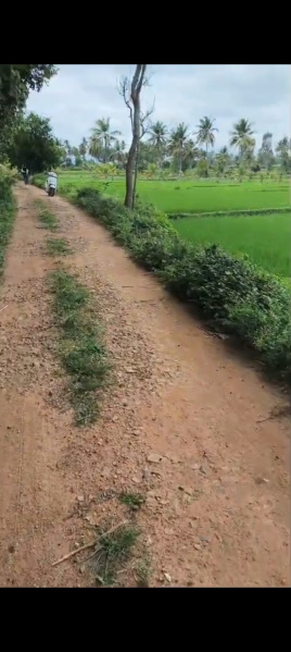  Residential Plot 1 Acre for Sale in Malavalli, Mandya