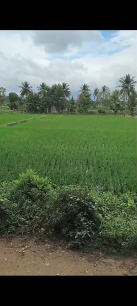  Residential Plot 1 Acre for Sale in Malavalli, Mandya