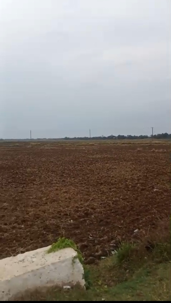 Balagandi, Puri photo 3
