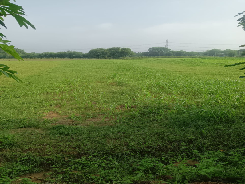 Agricultural Land 1 Acre for Sale in Sohna Road, Faridabad