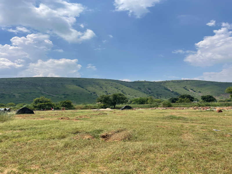  Agricultural Land 12 Bigha for Sale in Naugaon, Alwar