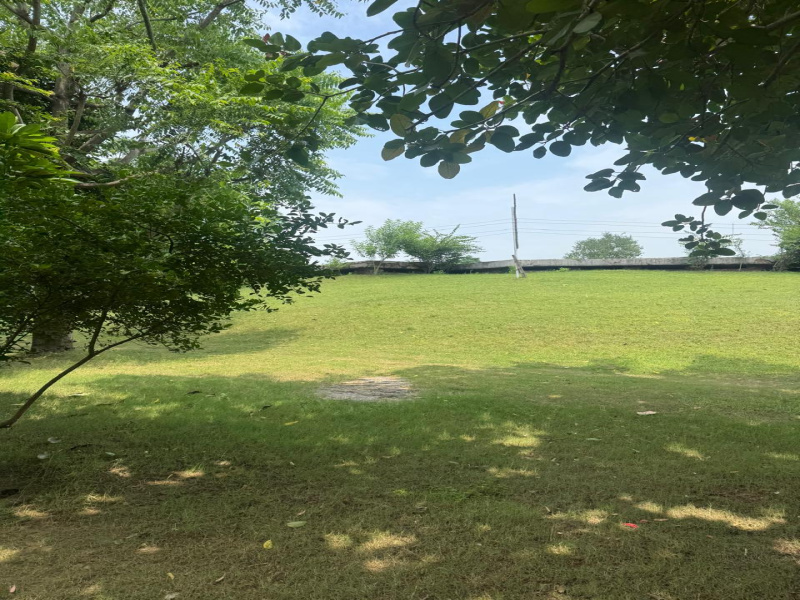  2 Acre Agricultural/Farm Land for Sale in Sohna, Gurgaon