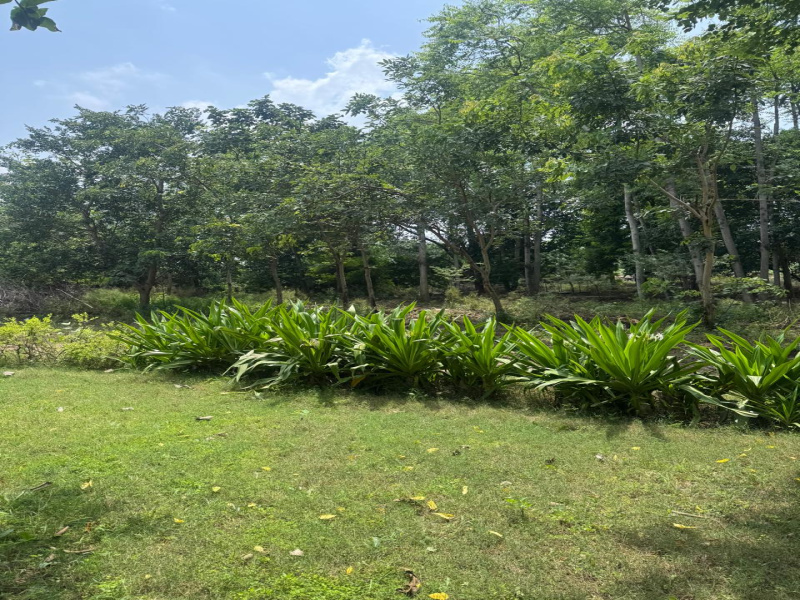  2 Acre Agricultural/Farm Land for Sale in Sohna, Gurgaon