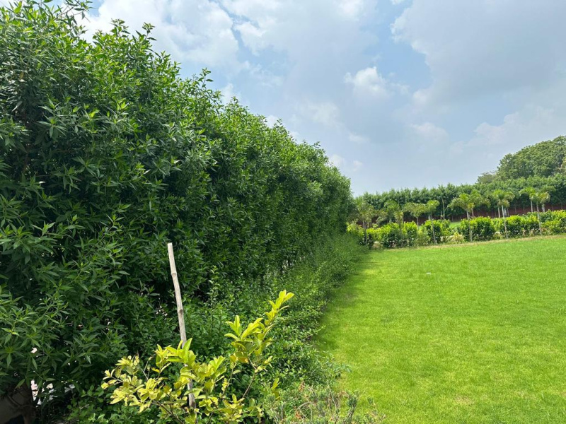  Agricultural Land 1 Acre for Sale in Sohna, Gurgaon