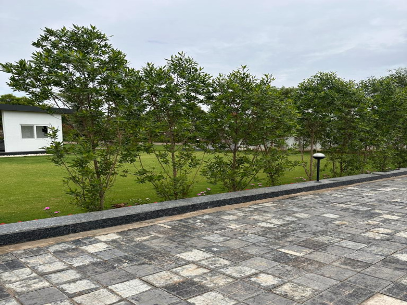 Agricultural Land 2 Acre for Sale in 33 Feet Road, Faridabad