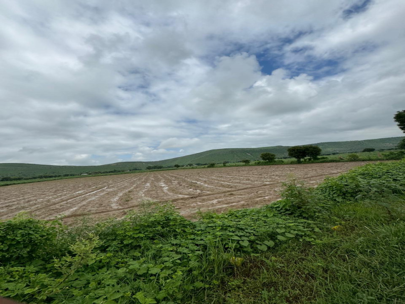  Agricultural Land 50 Bigha for Sale in Naugaon, Alwar