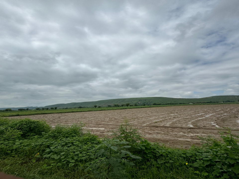  Agricultural Land 50 Bigha for Sale in Naugaon, Alwar