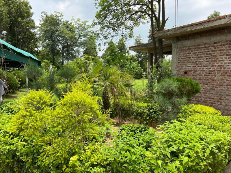  Agricultural Land 2420 Sq. Yards for Sale in 33 Feet Road, Faridabad