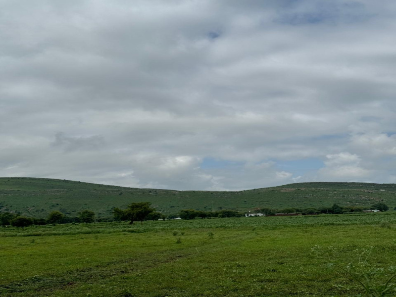  Agricultural Land 75 Bigha for Sale in Naugaon, Alwar
