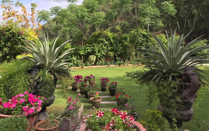  Agricultural Land 2 Acre for Sale in 33 Feet Road, Faridabad