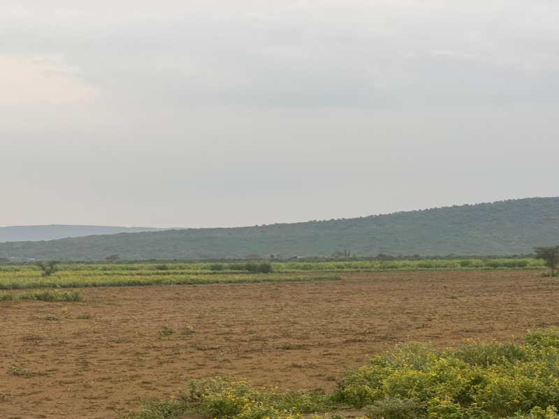 10 Bigha Agricultural/Farm Land for Sale in Naugaon, Alwar