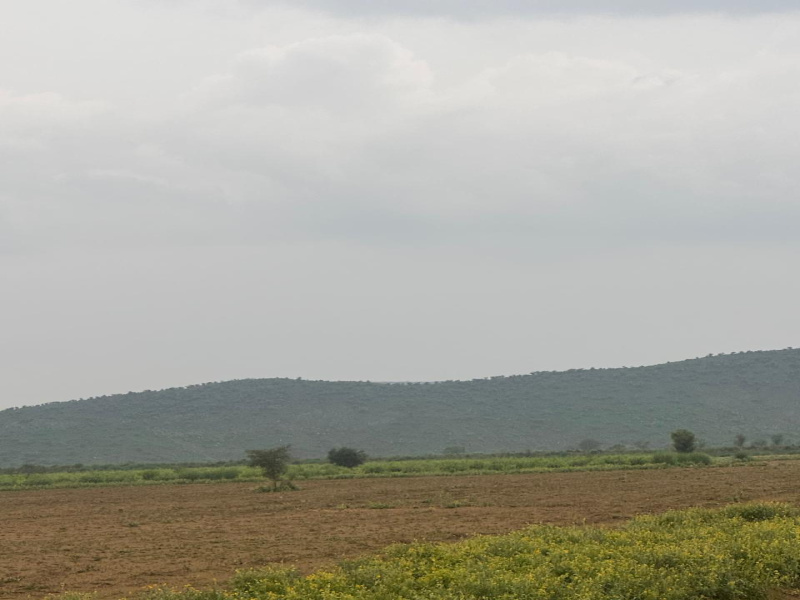 10 Bigha Agricultural/Farm Land for Sale in Naugaon, Alwar