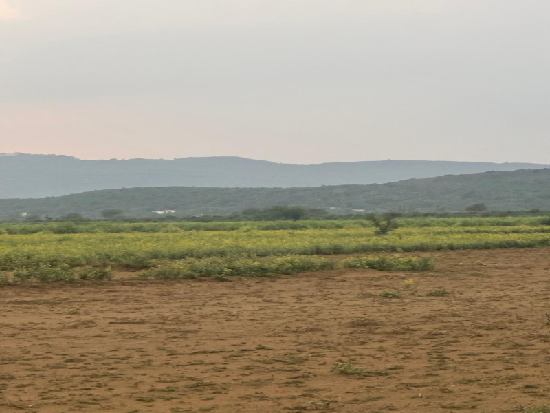 10 Bigha Agricultural/Farm Land for Sale in Naugaon, Alwar