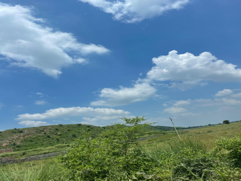  15 Bigha Agricultural/Farm Land for Sale in Naugaon, Alwar