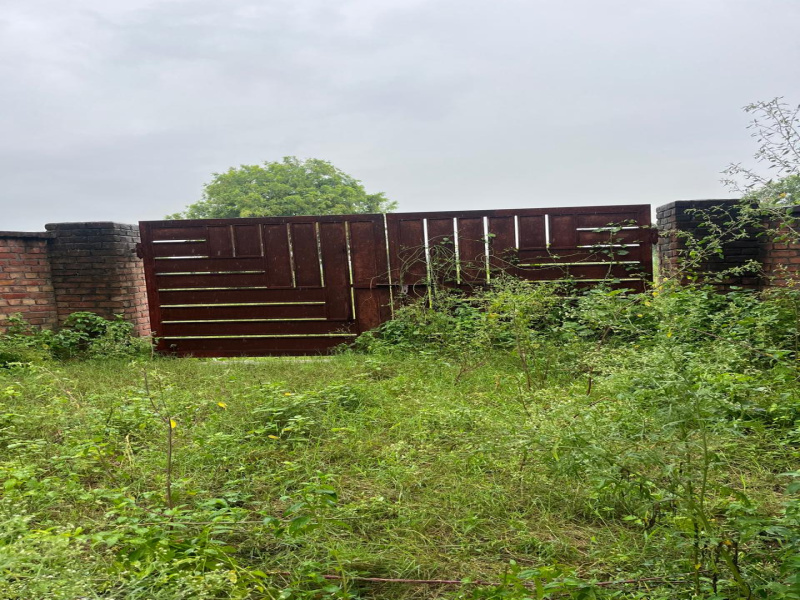  Agricultural Land 1 Acre for Sale in Sohna, Gurgaon