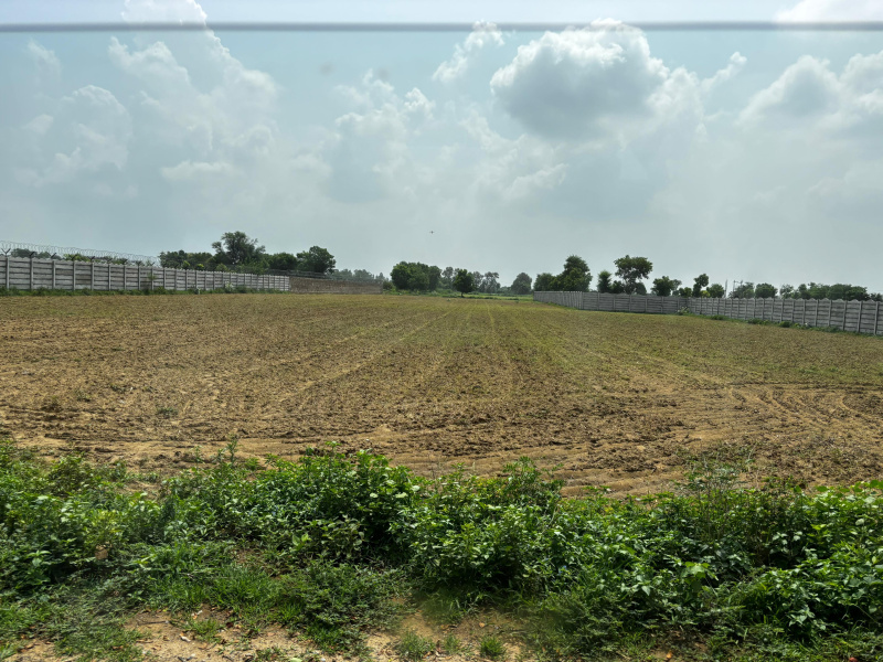  Agricultural Land 1 Acre for Sale in Sohna, Gurgaon