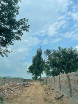  Agricultural Land for Sale in Sohna, Gurgaon