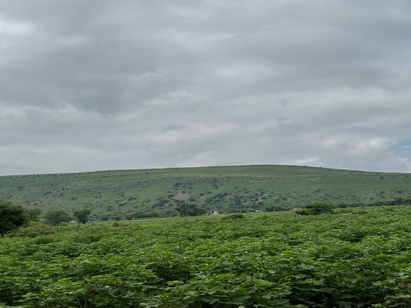  Agricultural Land 25 Bigha for Sale in Naugaon, Alwar