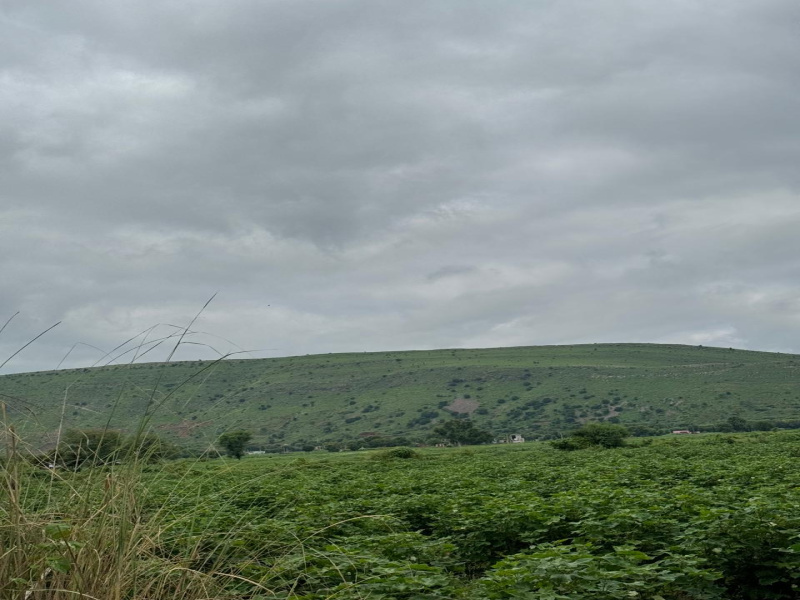  Agricultural Land 25 Bigha for Sale in Naugaon, Alwar