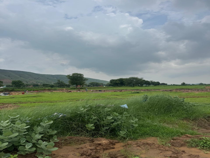  Agricultural Land 8 Bigha for Sale in Naugaon, Alwar