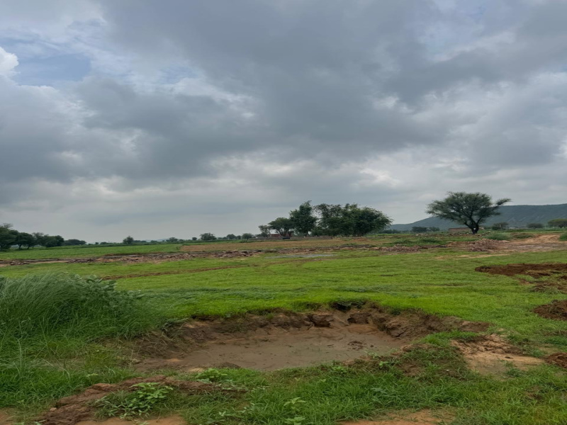  Agricultural Land 8 Bigha for Sale in Naugaon, Alwar