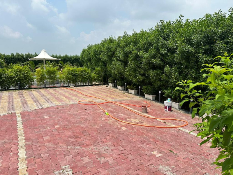  Agricultural Land 3600 Sq. Yards for Sale in Sohna, Gurgaon
