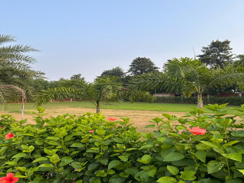  Agricultural Land 3600 Sq. Yards for Sale in Sohna, Gurgaon