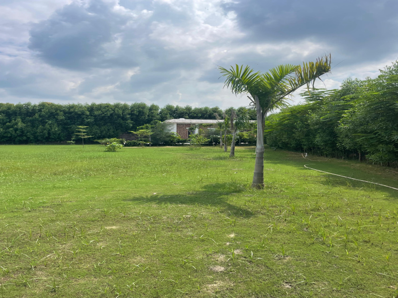  Agricultural Land 2000 Sq. Yards for Sale in Sohna, Gurgaon
