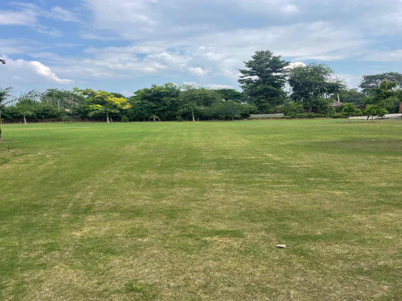  Agricultural Land 2 Acre for Sale in Sohna, Gurgaon