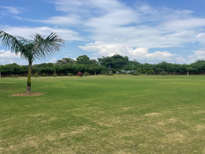  Agricultural Land 2 Acre for Sale in Sohna, Gurgaon