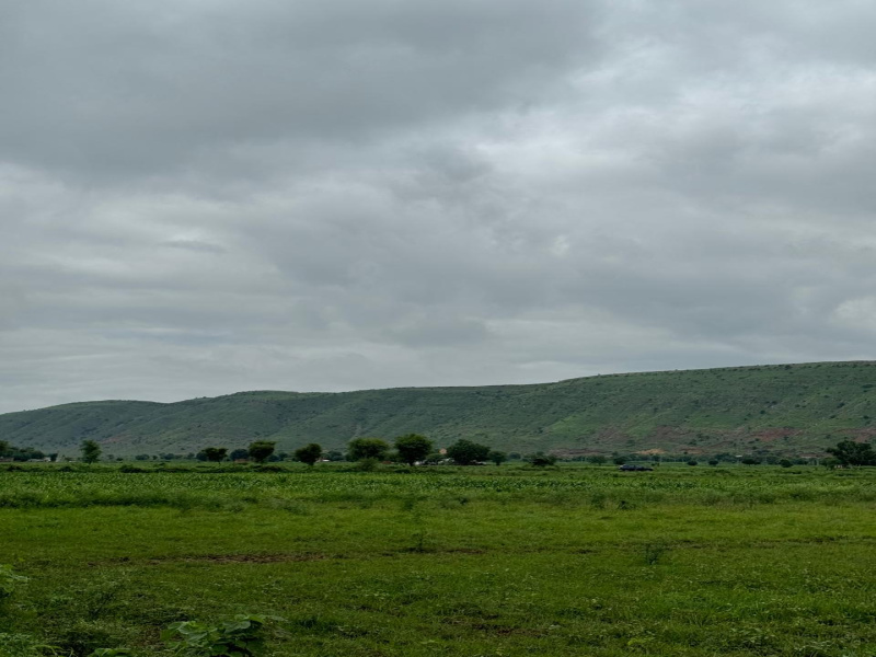  Agricultural Land 10 Bigha for Sale in Naugaon, Alwar