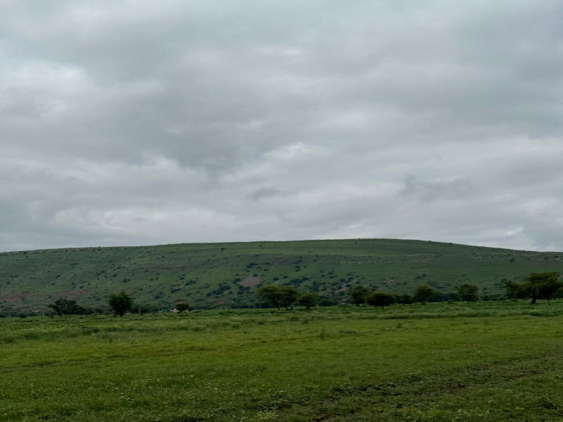  Agricultural Land 10 Bigha for Sale in Naugaon, Alwar