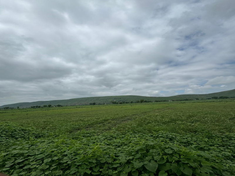  Agricultural Land 10 Bigha for Sale in Naugaon, Alwar