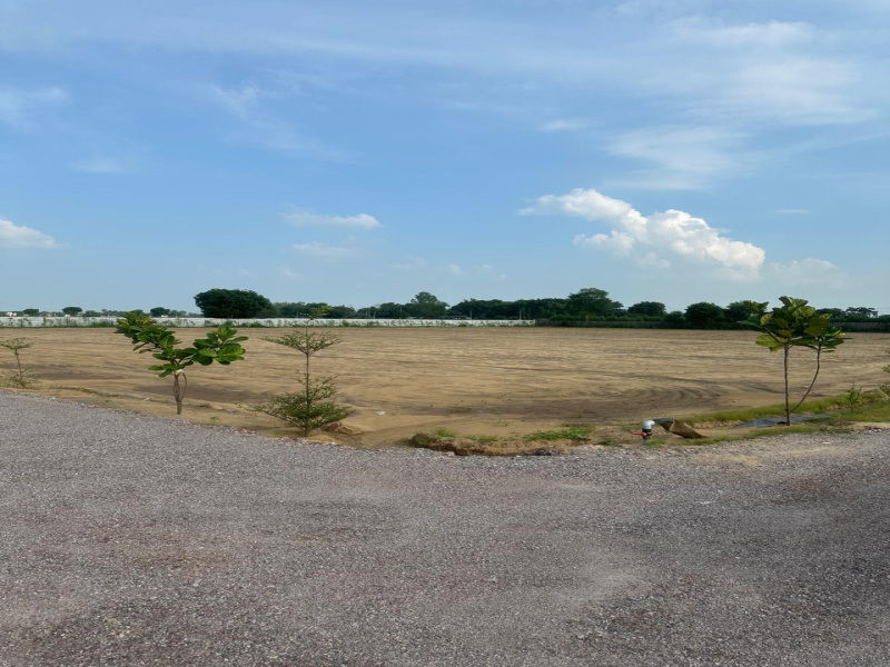  Agricultural Land 2420 Sq. Yards for Sale in Sohna, Gurgaon
