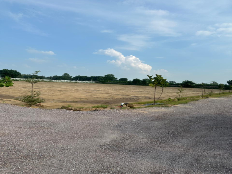  Agricultural Land 2420 Sq. Yards for Sale in Sohna, Gurgaon