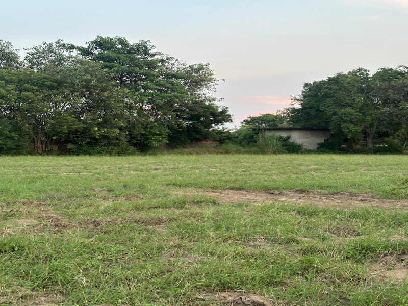  Agricultural Land 2 Acre for Sale in Sohna, Gurgaon