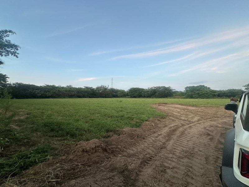  Agricultural Land 2 Acre for Sale in Sohna, Gurgaon