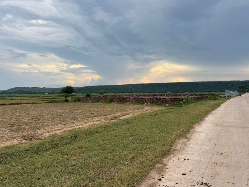  Agricultural Land 6 Bigha for Sale in Naugaon, Alwar
