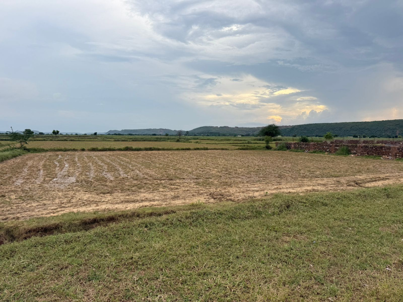  Agricultural Land 6 Bigha for Sale in Naugaon, Alwar