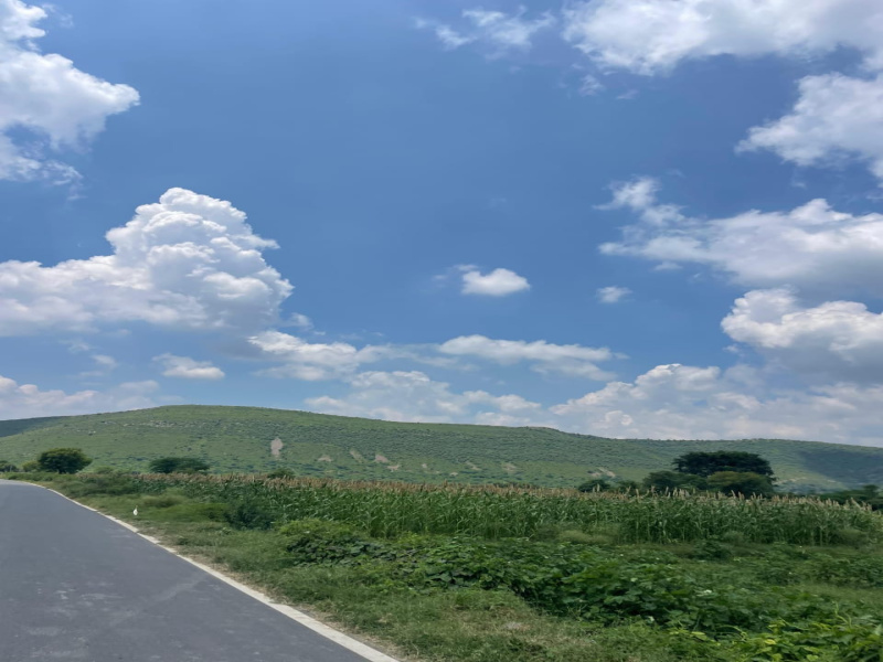  Agricultural Land 2 Bigha for Sale in Naugaon, Alwar