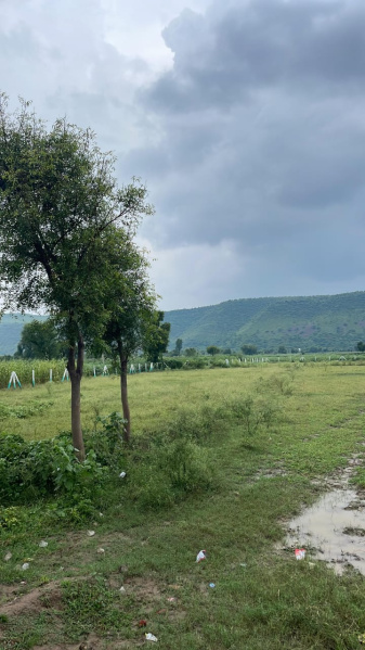  Agricultural Land 2 Bigha for Sale in Naugaon, Alwar